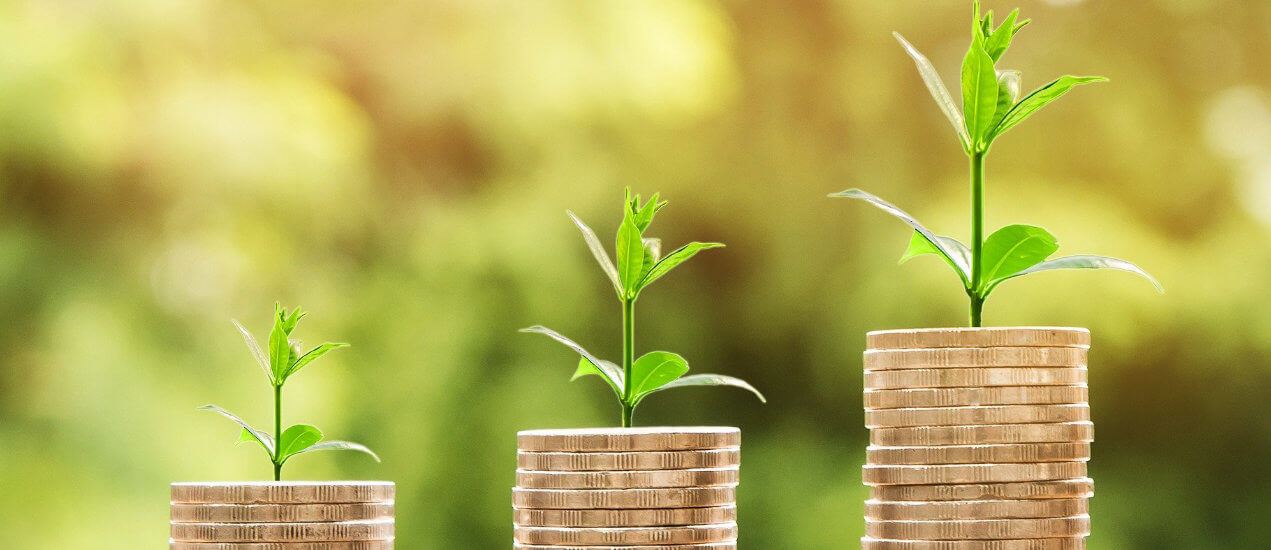 oszczednosci z zakupu paneli fotowoltaicznych, zaoszczedzone pieniadze