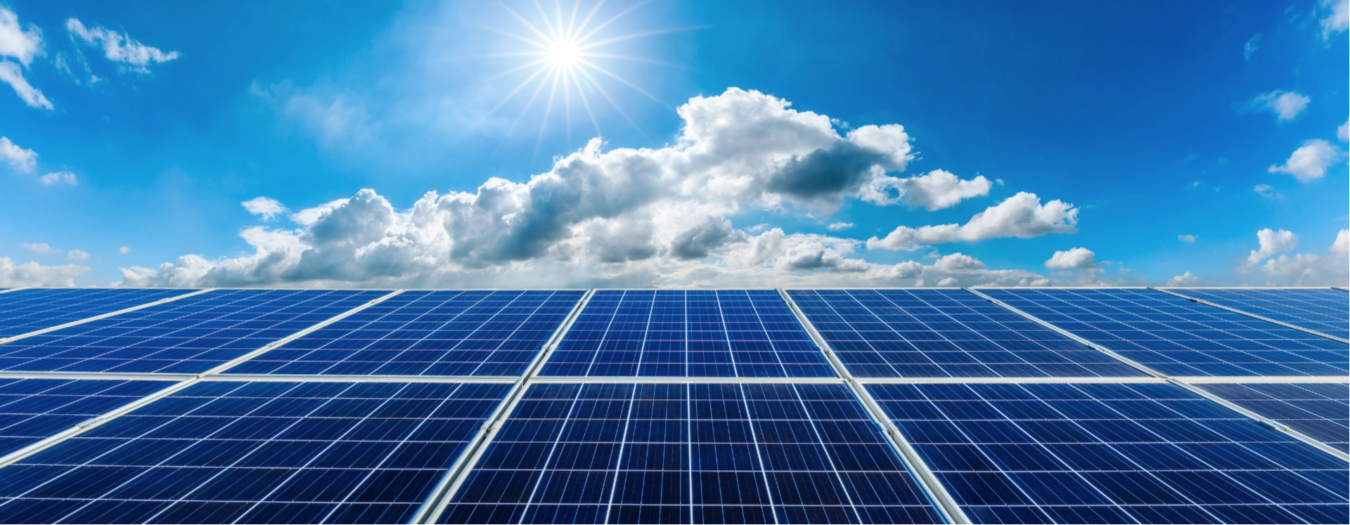 Skomat bg zakres uslug - skomat