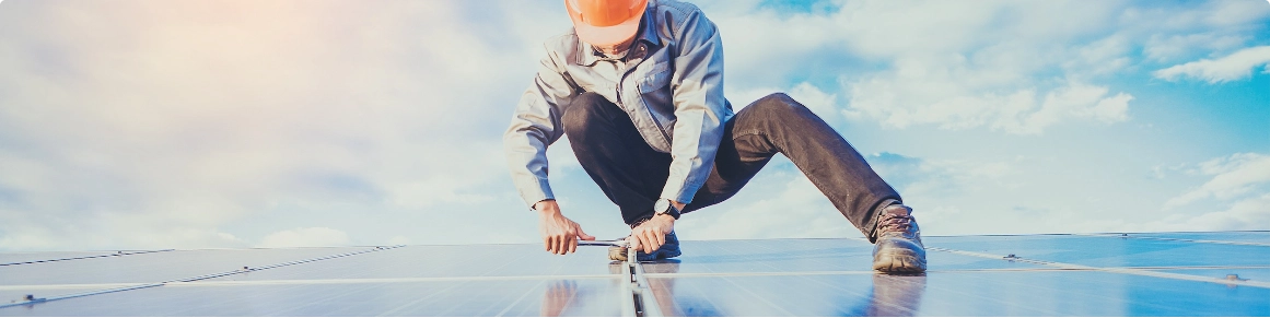 Skomat farmyfoto sekcja2 - skomat